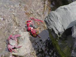 Resize of P1010054.JPG